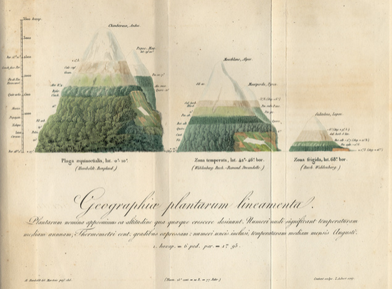 Alexander von Humboldt, rukopis iz 1817. prikazuje geografsku rasprostranjenost biljaka Alexander von Humboldt, rukopis iz 1817. prikazuje geografsku rasprostranjenost biljaka
