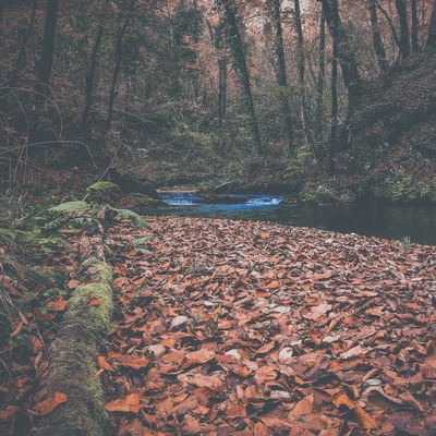 https://www.facebook.com/ppzumberaksamoborskogorje/photos/3537426469680359