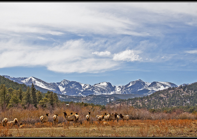 11. Estes Park, Colorado