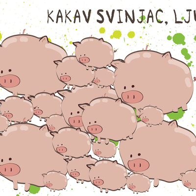 Kakav svinjac
