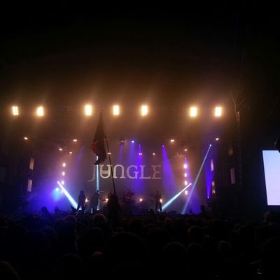 Jungle