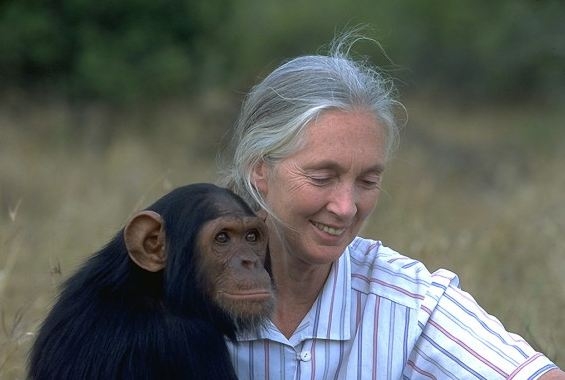 Jane Goodall Jane Goodall