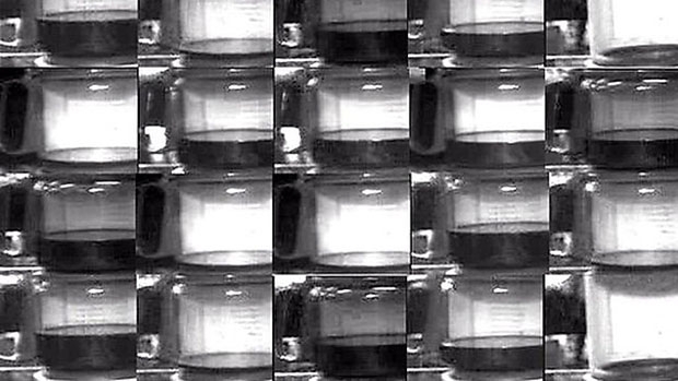 Web camera Kava