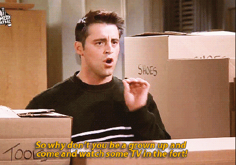 Joey 1 Joey 1