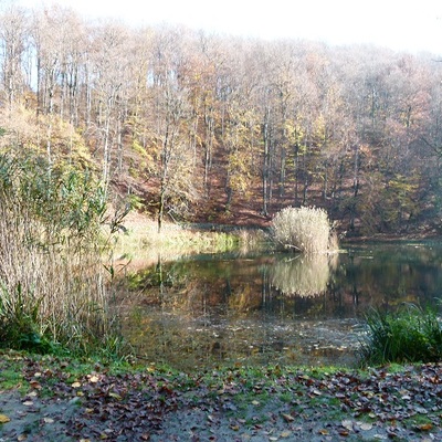 Jankovac, Papuk 
