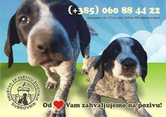 Telefonska akcija Pomoć Žarkovici