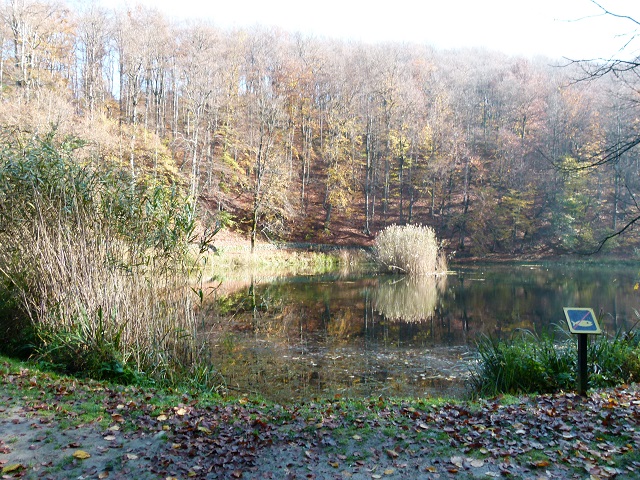Jankovac, Papuk 