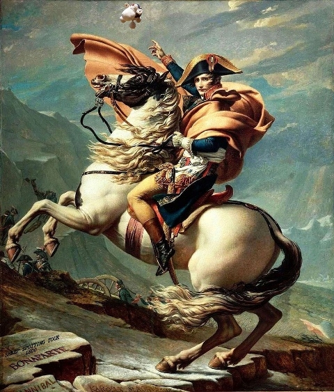 Napoleon Bonaparte Napoleon Bonaparte