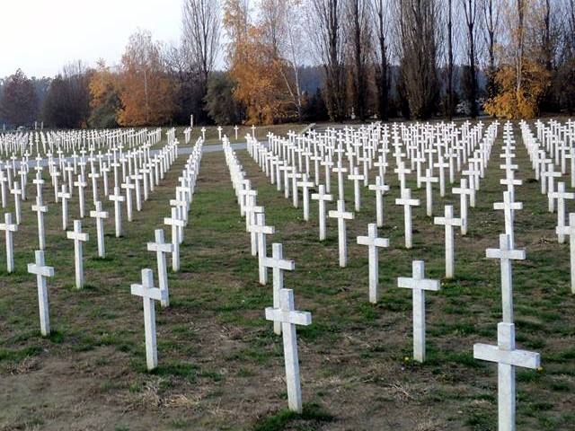 Memorijalno groblje - križevi Križevi Vukovar groblje