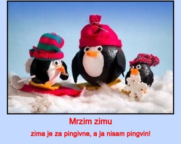 Zimski pingvini Zimski pingvini
