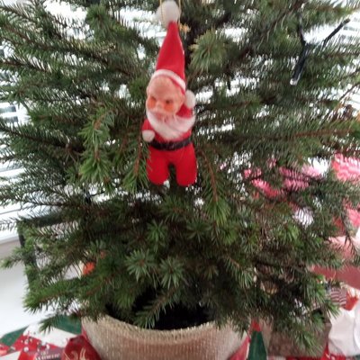 Satan Santa