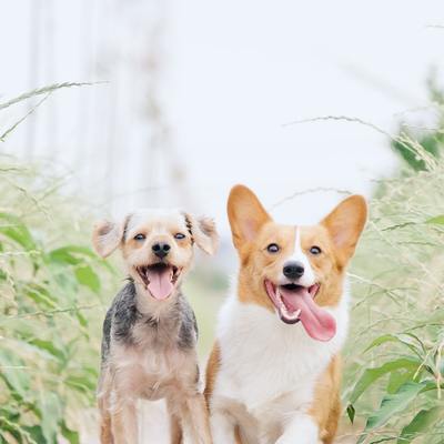 https://unsplash.com/photos/1VgfQdCuX-4