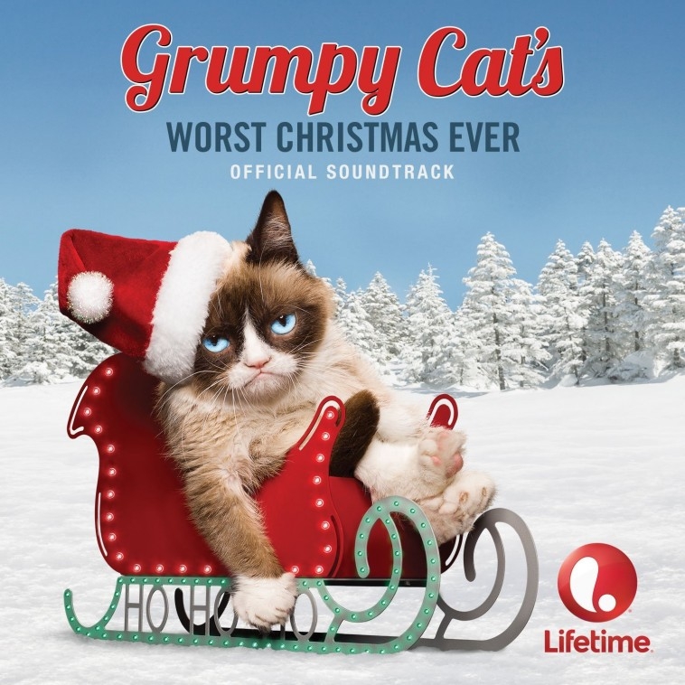 Grumpy cat