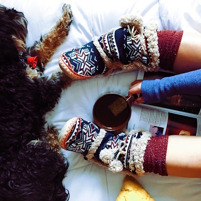 https://pixabay.com/photos/dog-pet-furry-animal-tea-drink-1798158/