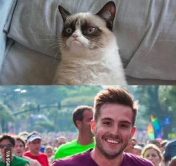Grumpy cat vs Good guy Grumpy cat vs Good guy