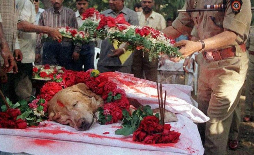 Pas Zanjeer Pas Zanjeer