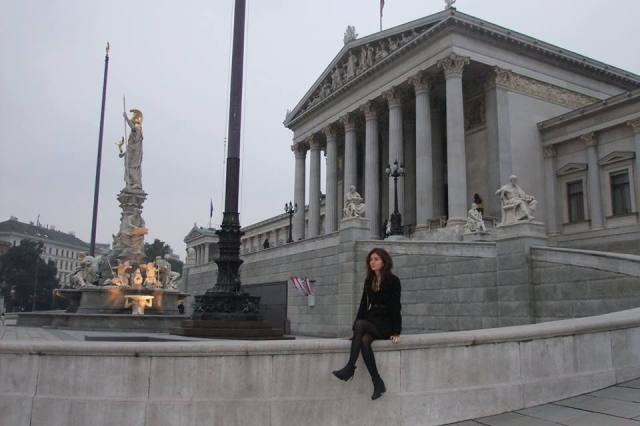 Ispred parlamenta Bečki parlament