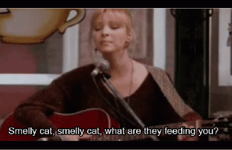 Phoebe Phoebe