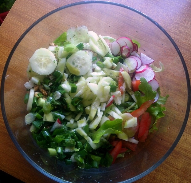 Šarena salata Šarena salata