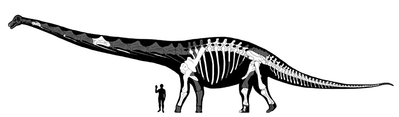 Najveći dinosaur 1