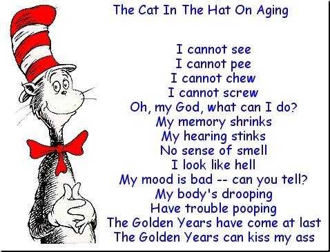The Cat In The Hat