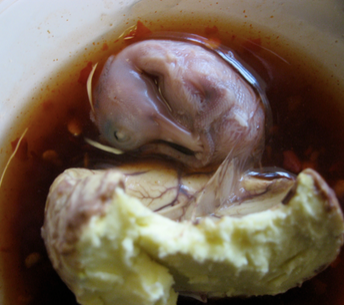 Balut Balut