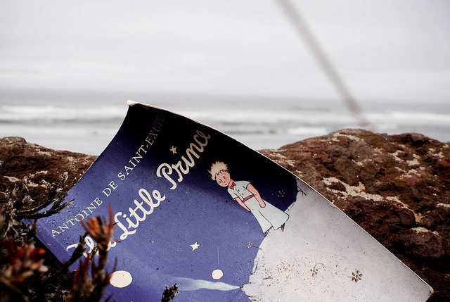 Le petit prince Le petit prince
