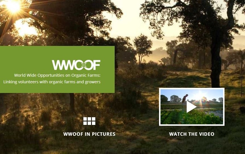 WWOOF WWOOF
