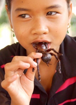a-ping Pržene tarantule