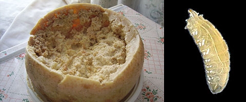 casu marzu Pokvareni sir