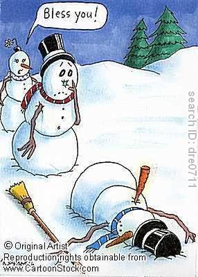 snowman FOTO: funnyjunk.com