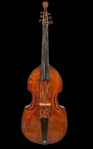 Viola Viola