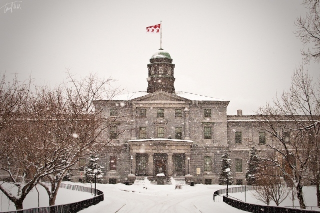Sveučilište McGill, Montreal Sveučilište McGill, Montreal