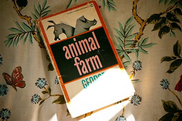 Animal Farm Animal Farm