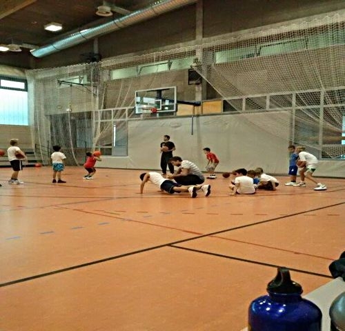 Trening škole košarke Trening škole košarke