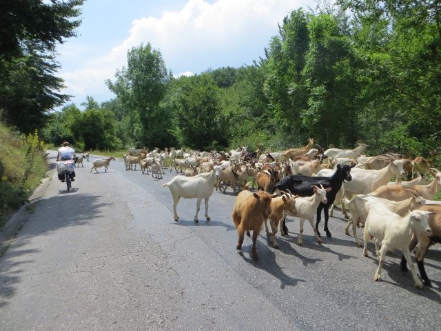 Neočekivani prolaznici Neočekivani prolaznici