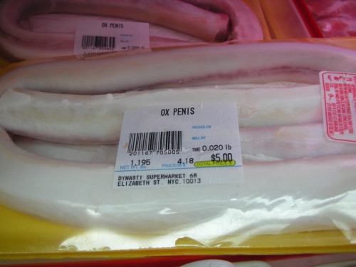 Penis vola Penis vola