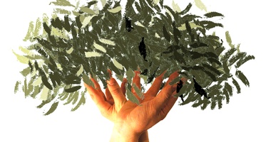 MODRAVE - Studentski.hr